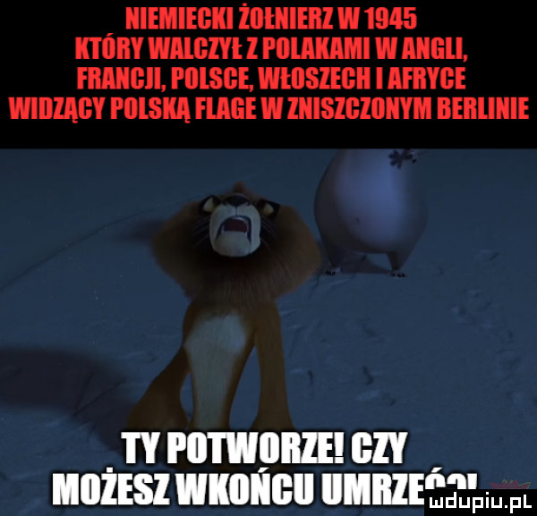 niemiegiii żlllnieill w      ktiiiiy wmgiyi l i llllkaml w ell. fmngii i lllsge. włllslegii iii  w  wiihagy i lllska flamie w liiisleliiiiym beiilillie i ii i węiiiie iiiiiesz wkiiiiieii iimiize jełęwl