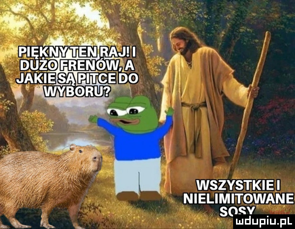 wszystkie i nielimitowane sośv u e