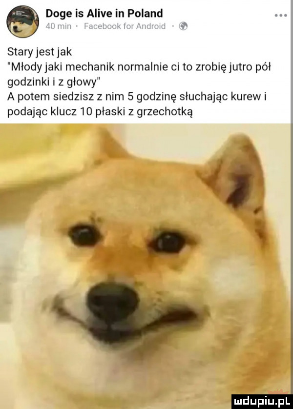 doje is alice in poland kii i wii y stary jest jak miodyjaki mechanik normalnie ci to zrobię jutro poi godzinki iz głowy a potem siedzisz z nim   godzinę słuchając kurew i podając klucz    piaski z grzechotką łn