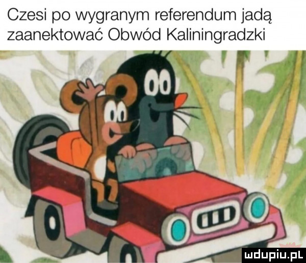 czesi po wygranym referendum jadą zaanektować obwód kaliningradzki