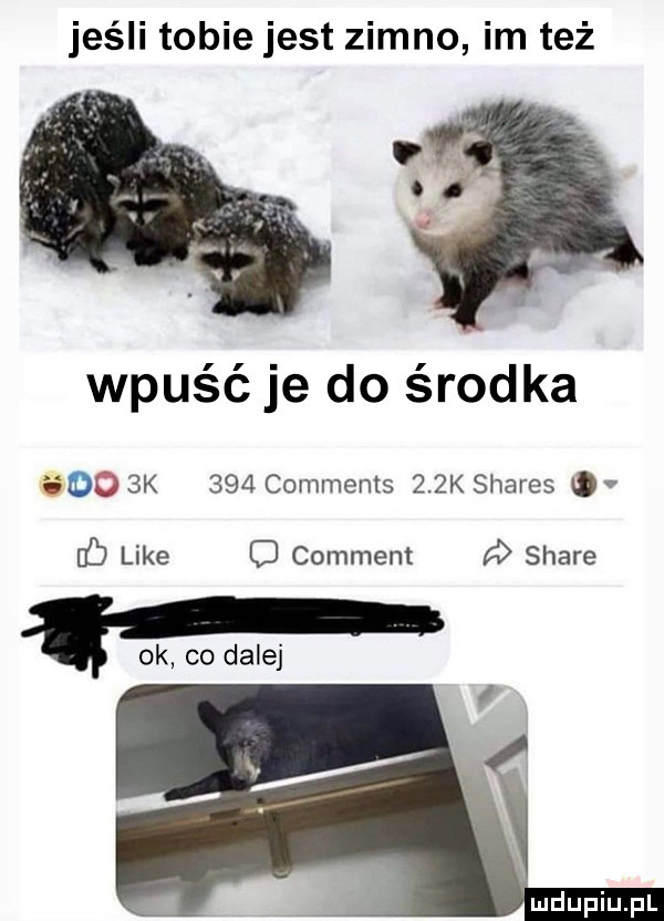 jeśli tobie jest zimno im też wpuść je do środka gol  k     comments    k shares o b like comment stare ok co dalej