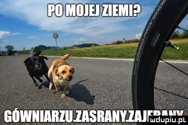 minimum egwiiiaiiiiiiisiimiyim