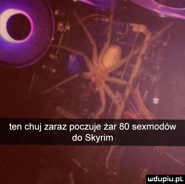 ten chuj zaraz poczuje żar    sexmodów do skyrim m mdupiu. pl