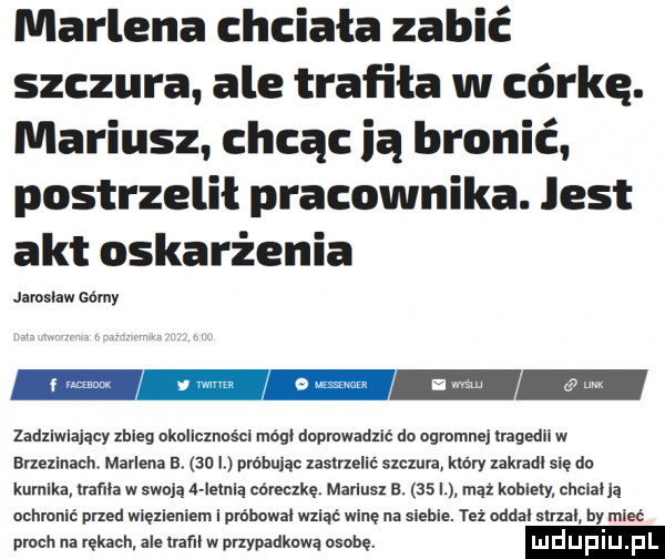 marlena chciała zabić szczura ale trafiła w córkę. mariusz chcąc ia bronić postrzelił pracownika. jest akt oskarżenia jamów gui ny zadziwiający zbieg okoliczności magi doprowadzić do ogmmnei hagedii w buellnach. marlena a.    i próbując lastrzellc szumie kary ukradl się do kurnika rama w sean a iemią córeczkę. mariusz e.    l mąż kuriery chcial la ochmnil mud więzieniem i próbował wziąć winę na siebie. też oddal suni iry mieć proch na rękach. ale am w przypadkowa osobe. lu d u pl f mm j