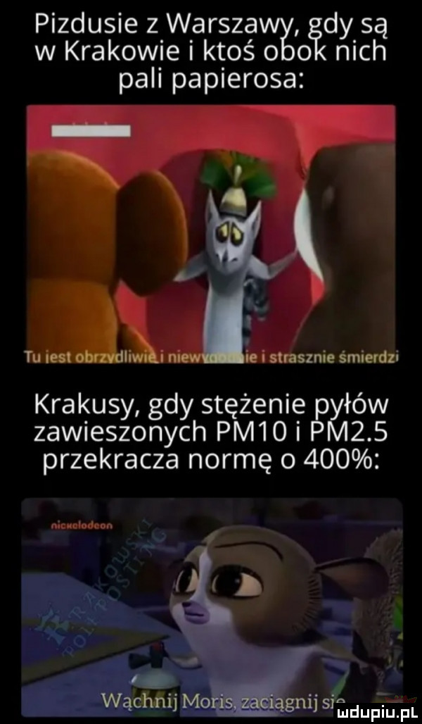 pizdusie z warska idy są w krakowie i ktoś o o nich pali papierosa tu uesl obrzvdliwki niew krakusy gdy stężenie łów zawieszonych pm   i      przekracza normę o