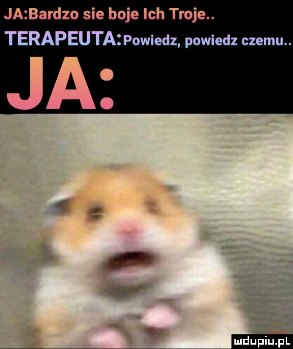 jazbardzo sie boje ich troje. terapeutażpowiedz powiedz czemu. ja