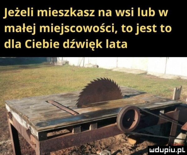 jeżeli mieszkasz na wsi lub w małej miejscowości to jest to dla ciebie dźwięk lata