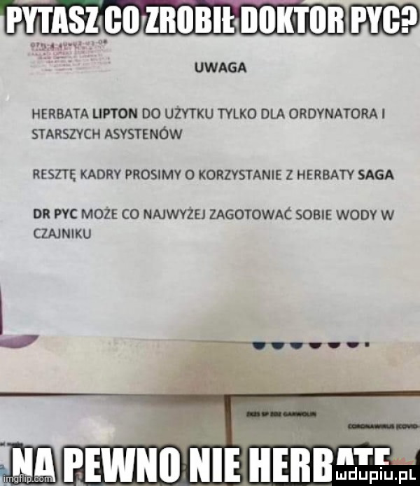 py i zas i iiiiibihiiik i bai fyi uwaga herbata udon do użytku mm dla ordynatorki starszych asvernów reszte kadry prosimy o korzystanie z herbaty saga nn wc może co najwyżej zagutowac sobie wonv w czmmxu mam nie nonna dm