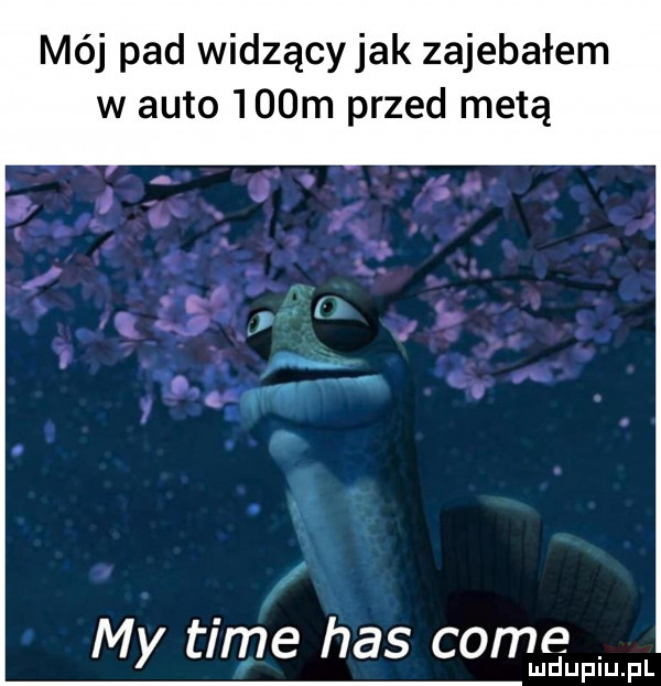 mój pad widzącyjak zajebałem w auto    m przed metą my time has com ludupiu. pl