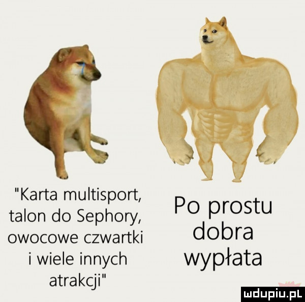 karta multisport talon do sephory po prestu owocowe czwartki dobra i wiele innych wypłata atrakc i j