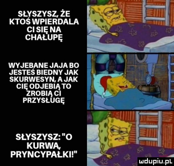 suszysz. że ktoś wpierdala ci się na chałupę wyjebane jaja bo jesteś biedny jak skurwysyn. a jak cię odjebią to zrobią ci przysługę słyszysz o kurwa. pryncypałki l    el ﬂ ludupiu. pl