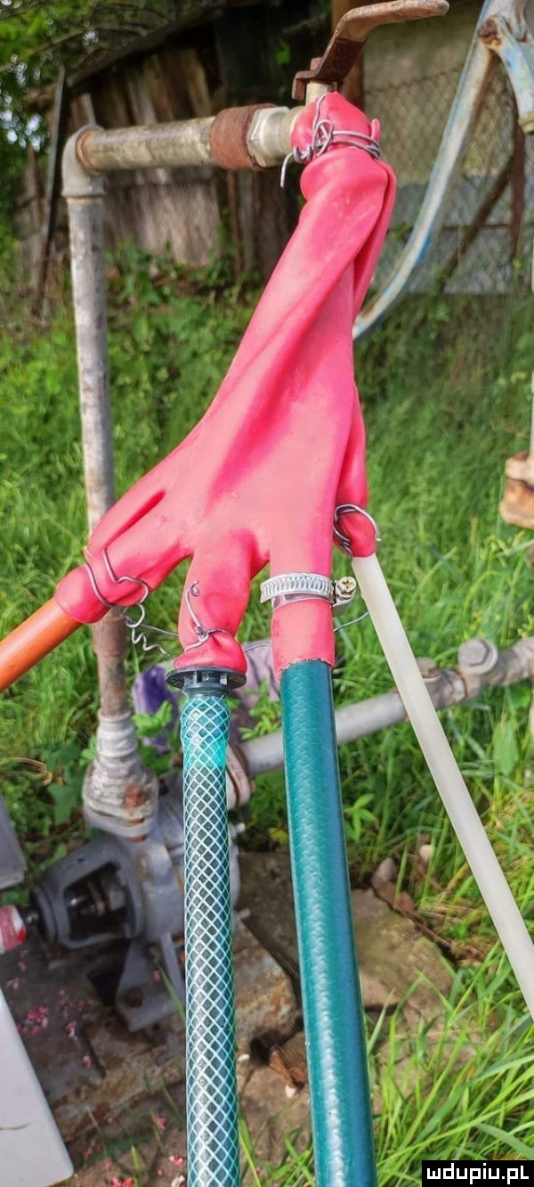 v