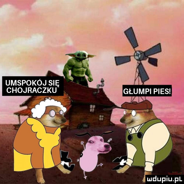 umspokój się chojraczku