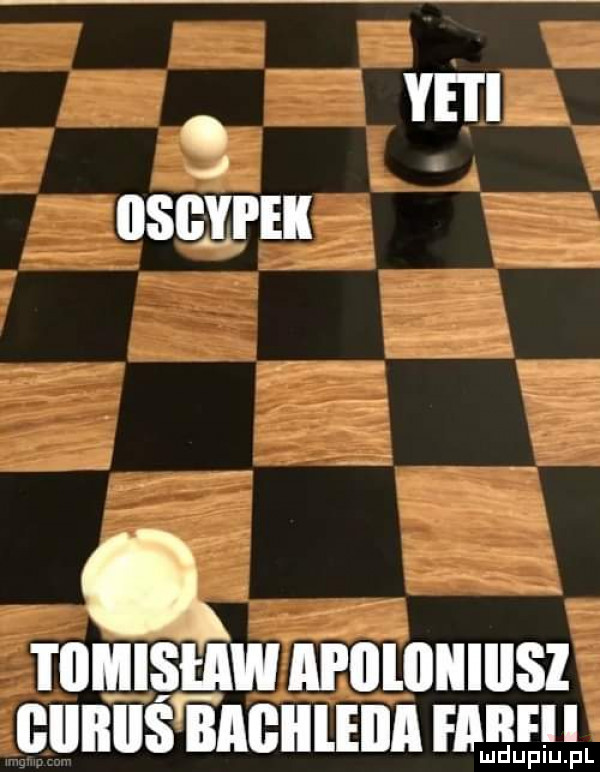 vm j sewer o tiimisław ai llliiiiiiisz glllllls iaglllella imf