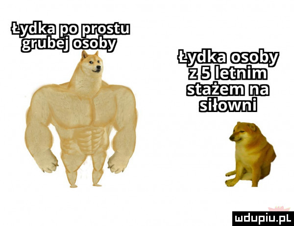 gala mms ludu iu. l