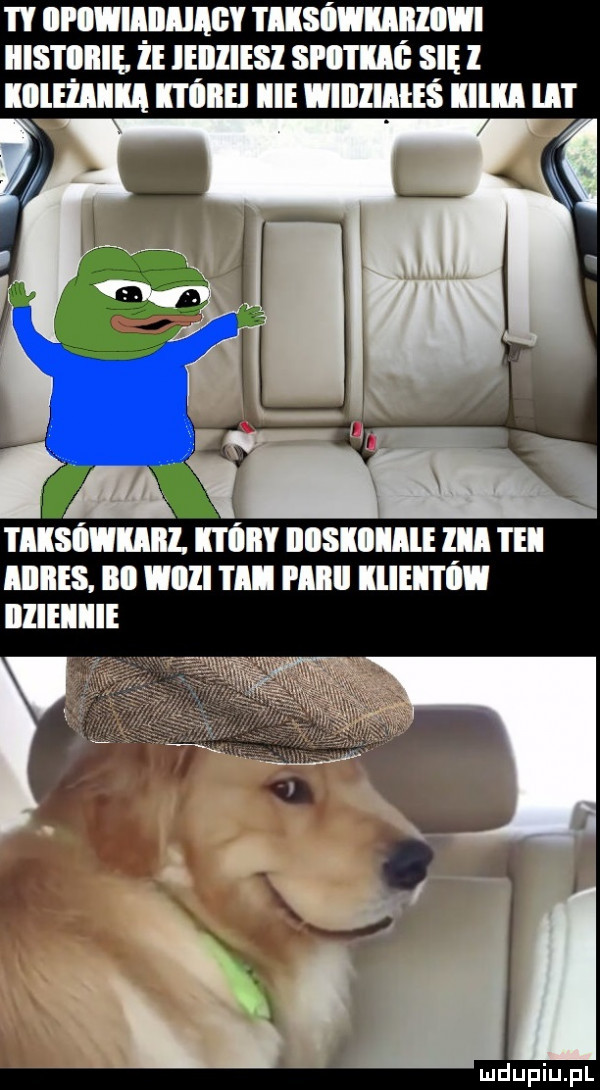 iipiiwiąiiiiagy i ilsiﬂllylllﬂl ibis i iiiif ll ieiidesi sci i iii się   qu mam iii illllllleś lllll ll l i iisiwiiiii. min illsilllle lal i el liiiies. iii iii iii pllll iiiei i iii iiiieiiie