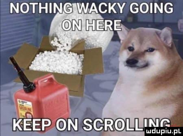 nothing wachy going kiep on sar dal mdupiu. pl