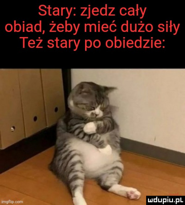 Obrazek