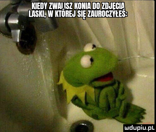 Obrazek