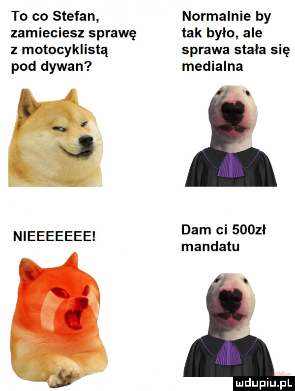to co stefan normalnie by zamieciesz sprawę tak było ale z motocyklistą sprawa stała się pod dywan medialna dam ci     ł nieeeeeee mandatu