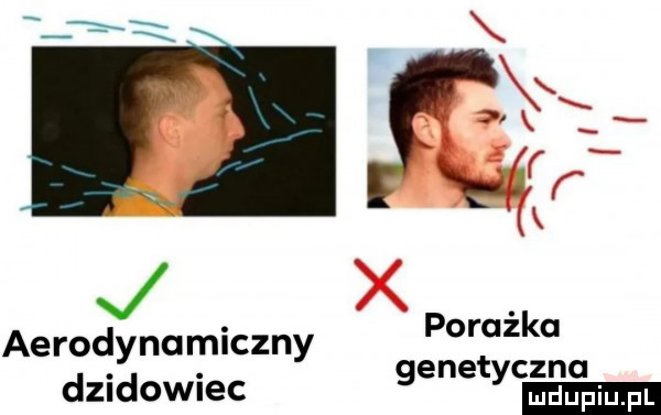 aerodynamiczny porazka genetyczna dzikowiec