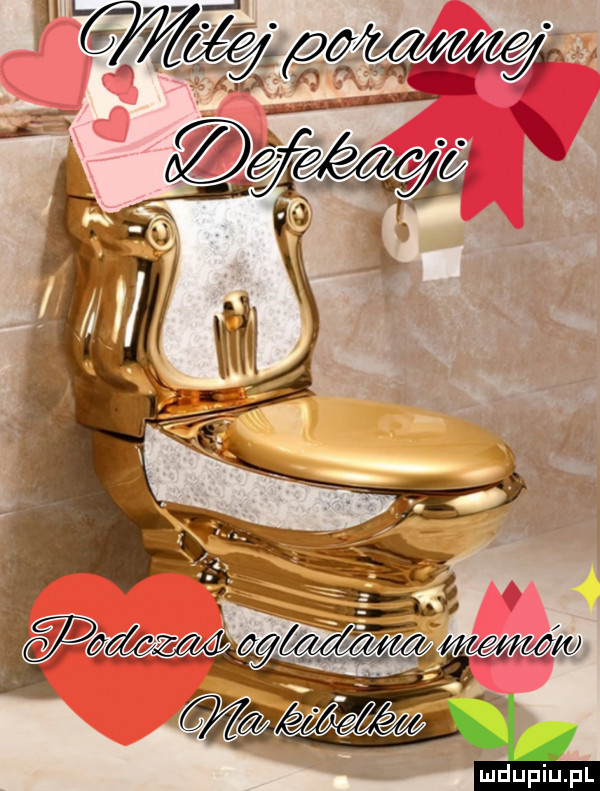 jw duciu pl