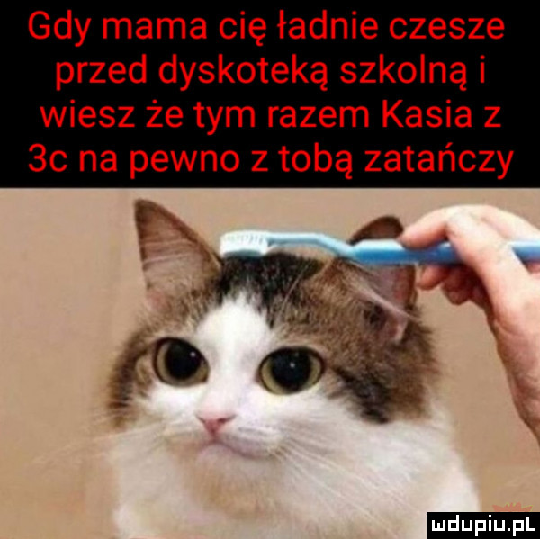 gdy mama cię ładnie czesze przed dyskoteką szkolną i wiesz że tym razem kasia z    na pewno z tobą zatańczy ludu iu. l