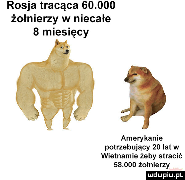 rosja tracąca        żołnierzy w niecałe   miesięcy amerykanie potrzebujący    lat w wietnamie żeby stracić        żołnierzy ludu iu. l