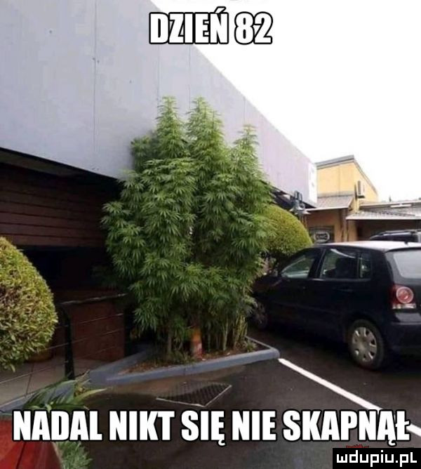 x i t   imnnl uen sięulesnmeu