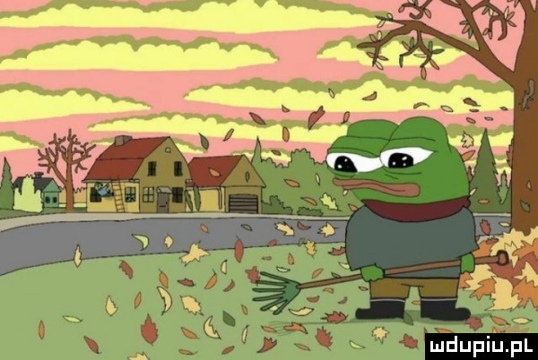 ufdupiﬁpl