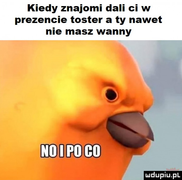 kiedy znajomi dali ci w prezencie toster a ty nawet nie masz wanny mdupian