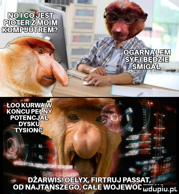ggarnąłem st będzie smigal loq ktjrwm vr koncu pełny a.   dba s i e lex filtruj passat w co najtąnszego. całe woj ewóc ma ml