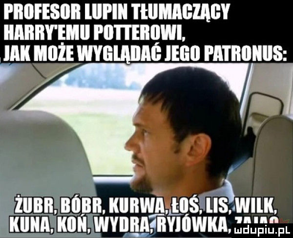 i iiiifesiiii lill lal i łllmagzagy iiabby elii pii iteiidwi. jak mill wyelaiiać ingo patiiiiiiiis   h a magma uunwjmśiuśywuu. luuunmuu wvnuagnvmwmzmspl