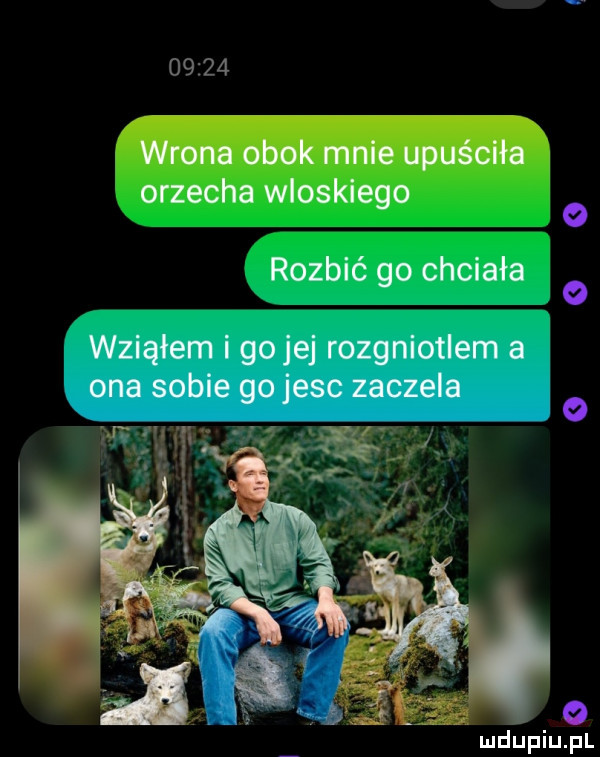 orzecha wloskiego robbie go chciała wziąłem i go jej rozgniotlem a ona sobie gojesc zaczela q w