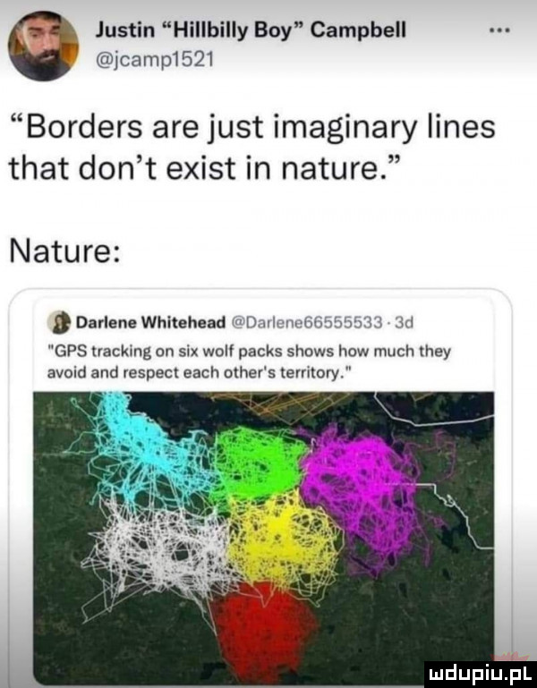 justin hillbilly boy campbell jcamp     borders are just imaginary limes trat don t egist in nature nature darlene whitehead m d luvwhtiﬁhsbii  m gps nacksng on sax wolf parks shows hiw much they avoid and respekt each ocher s territory mdupiljfl