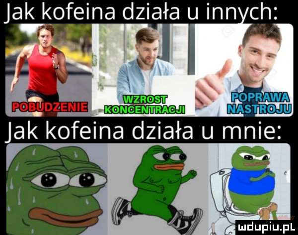 jak k oleina działa u inn ch
