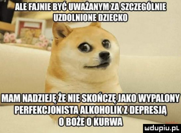 fam uznuuunui esd h. z   t. mucu umsmﬂcu nux mmm      ll kurwa m