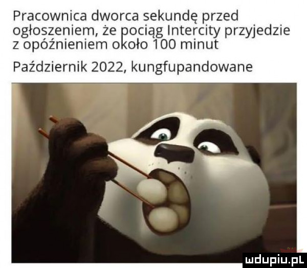 pracownica dworca sekundę przed ogłoszeniem ze ęociąg intercity przyjedzie z opóźnieniem o odo     minut październik      kungfu pandowane