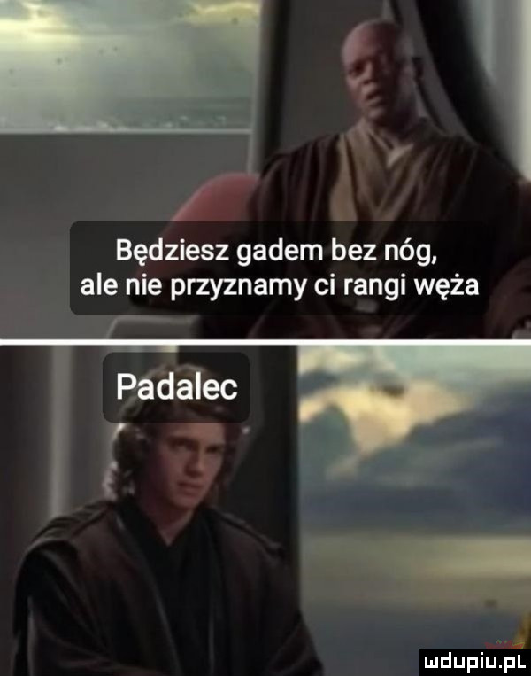 będziesz gadem bez nóg ale nie przyznamy ci rangi węża mdupiulpi