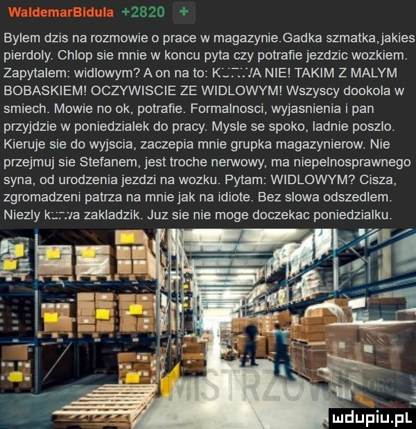 bylem dzis na rozmowie o prace w magazynie gadka szmatka jakies pierdoly. chlop sie mnie w koncu pyta czy potrafie jezdzic wozkiem. zapytalam widłowym a on na to k żęła nie takim z malym bobaskiem oczywiscie ze widlowym wszyscy dookola w smiech mowie no ok. potrafie. formalnosci. wyjasnienia i pan przyjdzie w pomedzralek do pracy mysle se spoko iadnle poszlo kieruje sie do wyjscia zaczepia mnie grupka magazynierow. nie przejmuj sie stefanem jest troche nerwowy ma niepelnosprawnego syna od urodzenia jezdzl na wozku pytam widlowym   cisza zgromadzeni patrza na mnie jak na idiote. bez slowa odszedlem niezly k va zakladzik. juz sie nie moge doczekac poniedzialku. mdupiupl