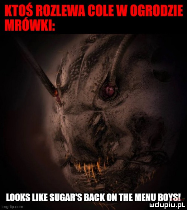 oś iłollewi oble w oooooiie mbowki   ą. y nx x loans ike siigiii s mok obi i ice meiiii boks mduplu pl
