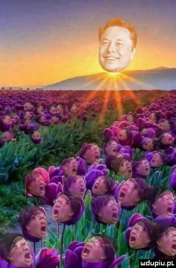 Obrazek