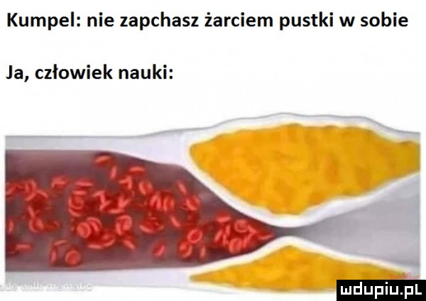kumpel nie zapchasz żarciem pustki w sobie ja człowiek nauki
