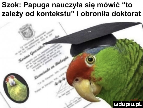 szok papuga nauczyła się mówić to zależy od kontekstu i obroniła doktorat