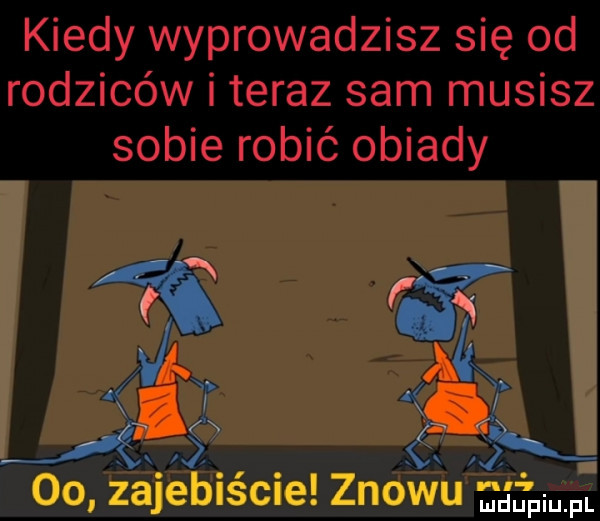kiedy wyprowadzisz się od rodziców i teraz sam musisz sobie robić obiady