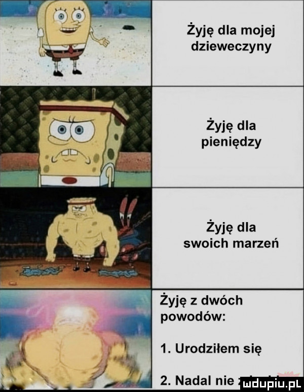 żyję dla mojej dzieweczyny żyję dla pieniędzy żyję dla swoich marzeń żyję z dwóch powodów  . urodziłem się n i x   nada niemm