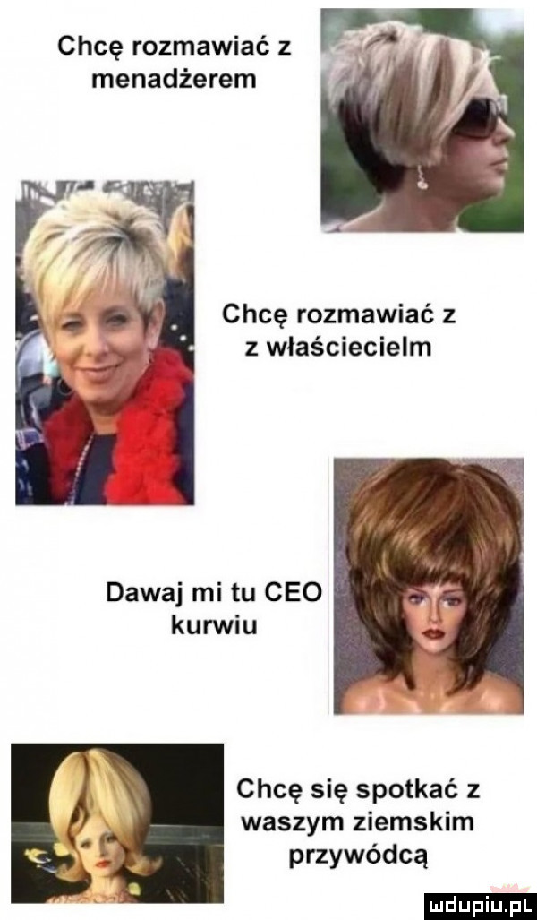 chcę rozmawiać z menadżerem chcę rozmawiać z z właściecielm dawaj mi tu ceo karwiu chcę się spotkać z waszym ziemskim przywódcą ludu iu. l