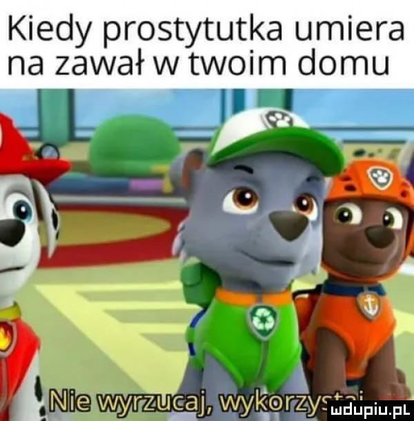 kiedy prostytutka umiera na zawał w twoim domu judupiu. pl