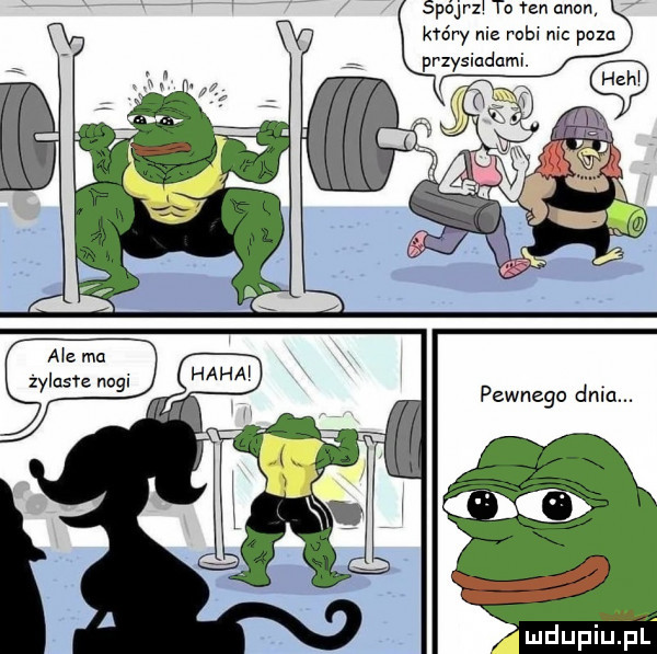 spa jal ta ten agon kufry nie robi nic poza przysladcmi.   v. ale ma zylusw nogi