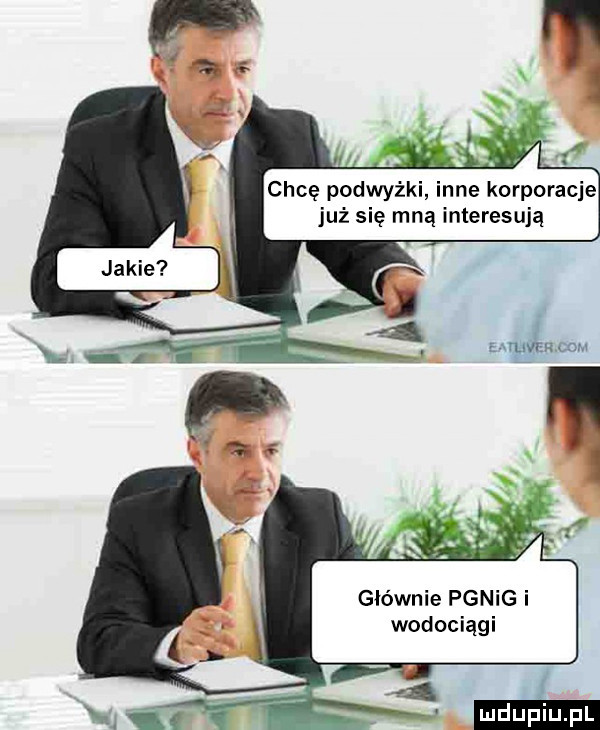 chcę podwyżkl nie korporacje już się mną interesują głównie pgnig i wodociągi